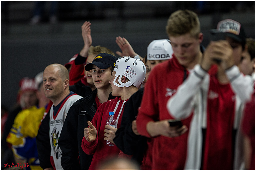 IIHF WM 2017, Daenemark - Schweden, 14.05.2017